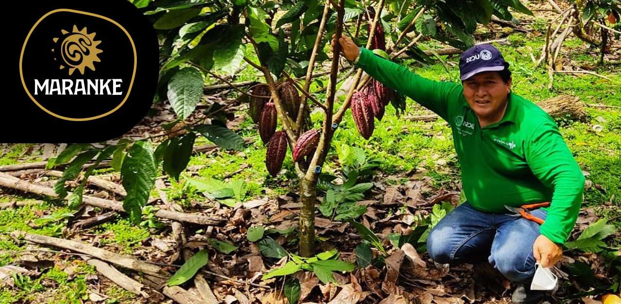 El chocolate Maranke nace del equilibrio de la naturaleza